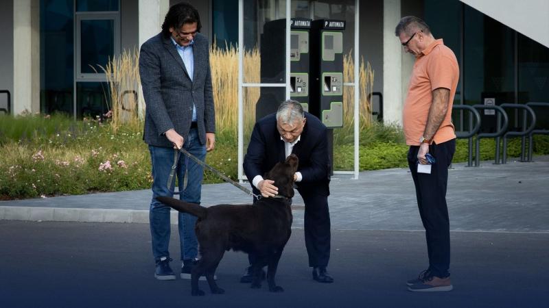 Orbán Viktor találkozott Sonkával és Tamással, és a diskurzus során mindent megfelelőnek ítélt meg.