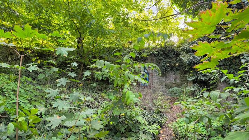 Szorult helyzetbe kerültél? Mutatjuk, milyen lehetőségeid vannak a tatai tóparton, amikor a szükség rákényszerít!