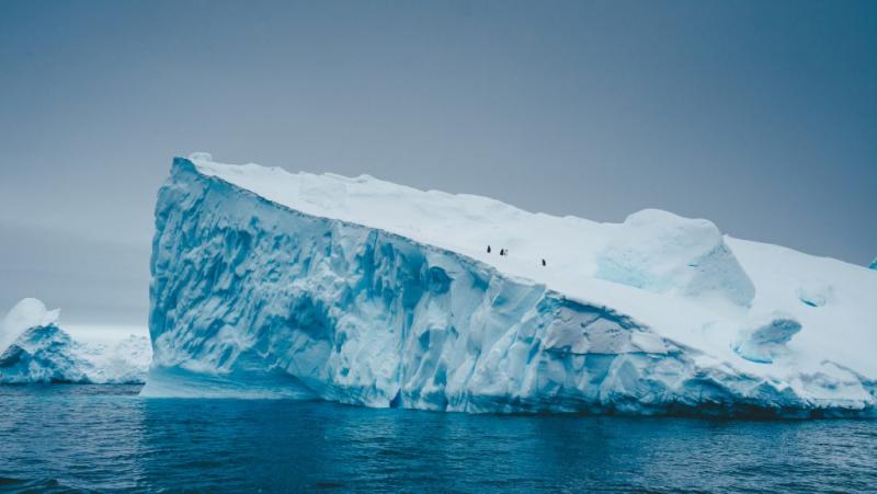Felfoghatatlan sebességgel olvad az Antarktisz egyik gleccsere, ami aggasztó jele a globális felmelegedésnek. A 24.hu cikkében részletesen bemutatják a jelenség mögött álló tudományos eredményeket és a lehetséges következményeket. A gleccserek olvadása ne