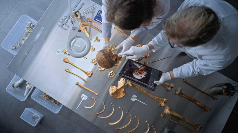 Szörnyű bűncselekmény történt a Margit-szigeten, ahol egy herceg életét oltotta ki a brutalitás.